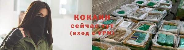ECSTASY Зеленодольск